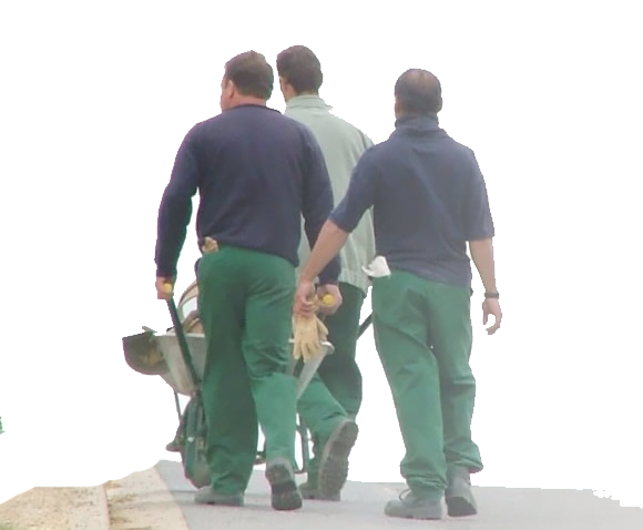 Formations DIF CIF CCP1 www.devenirjardinier.fr